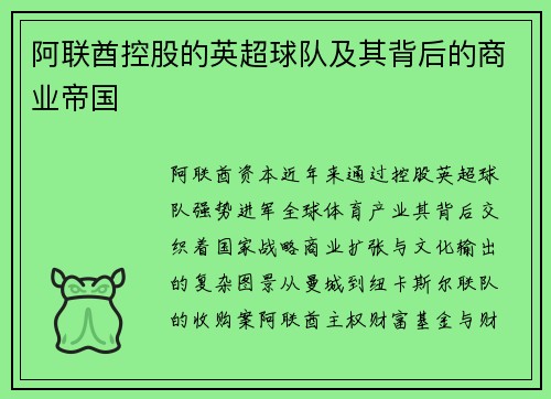 阿联酋控股的英超球队及其背后的商业帝国