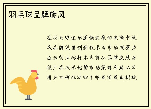 羽毛球品牌旋风