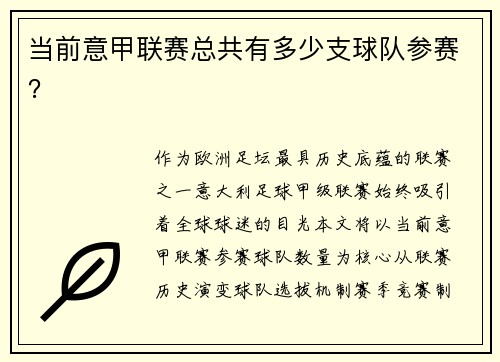 当前意甲联赛总共有多少支球队参赛？